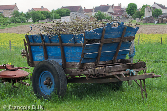 Toute reproduction interdite